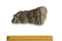 F 00080
<br/>
<br/>
<em></em>